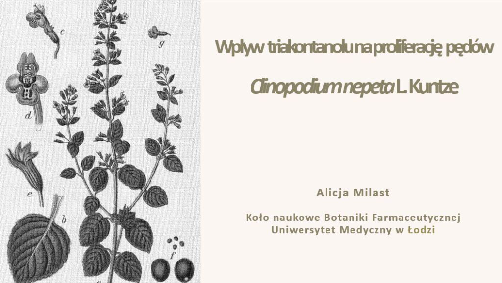 Milast prezentacja