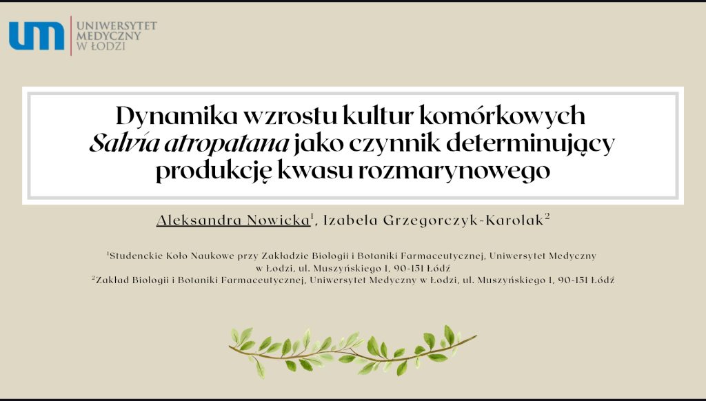 Nowicka prezentacja