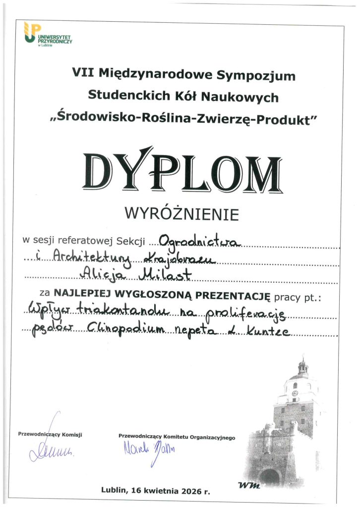 dyplom miast